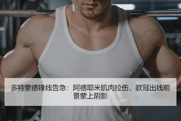 多特蒙德锋线告急：阿德耶米肌肉拉伤，欧冠出线前景蒙上阴影